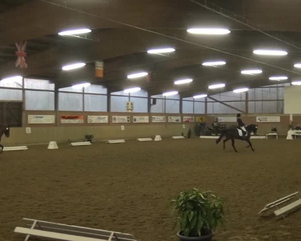 Reitturnier Lembeck 2016