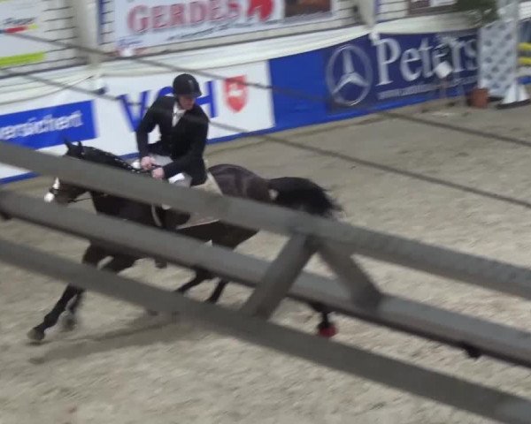 Spring-Pferde-Festival Lathen 2016