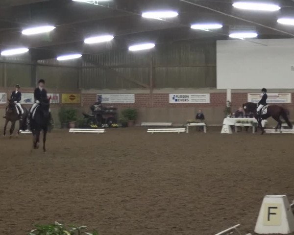 Reitturnier Lembeck 2016