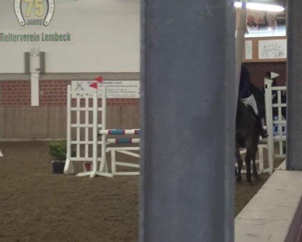Reitturnier Lembeck 2016