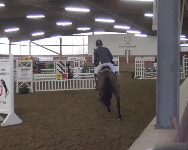 Reitturnier Lembeck 2016