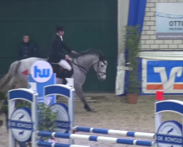Spring-Pferde-Festival Lathen 2016