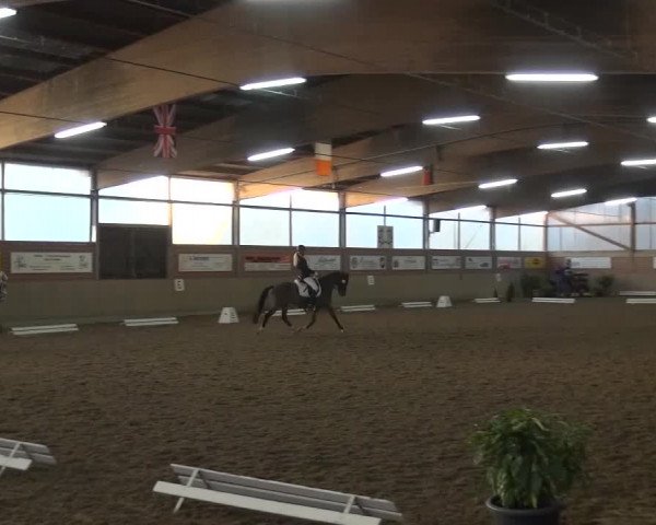 Reitturnier Lembeck 2016