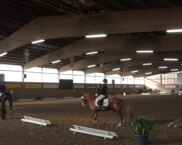 Reitturnier Lembeck 2016