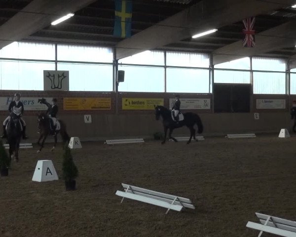 Reitturnier Lembeck 2016