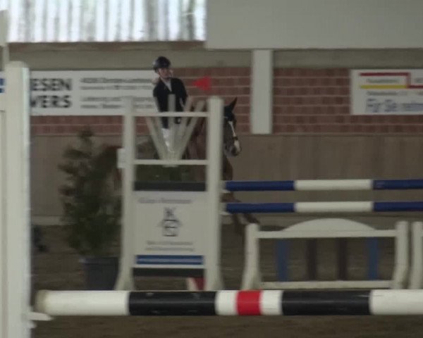 Reitturnier Lembeck 2016