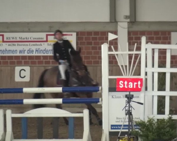 Reitturnier Lembeck 2016