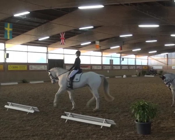 Reitturnier Lembeck 2016