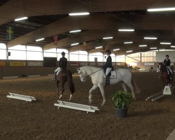 Reitturnier Lembeck 2016