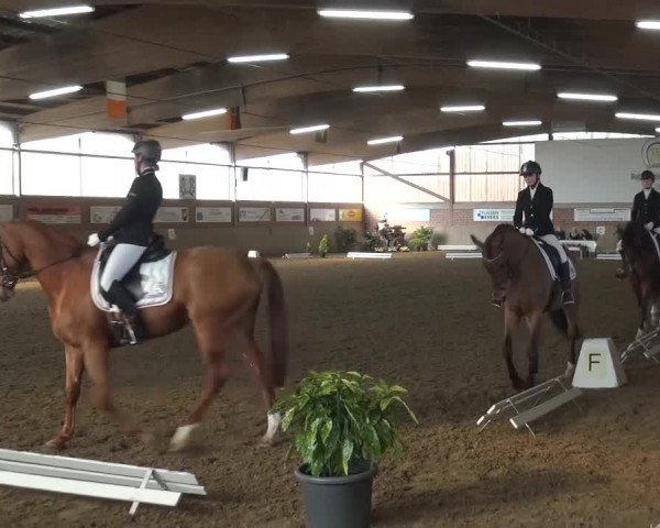 Reitturnier Lembeck 2016