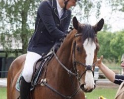 jumper Barbel 57 (Hanoverian, 2012, from Balou du Rouet)