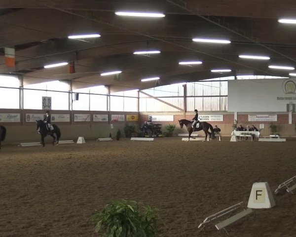 Reitturnier Lembeck 2016