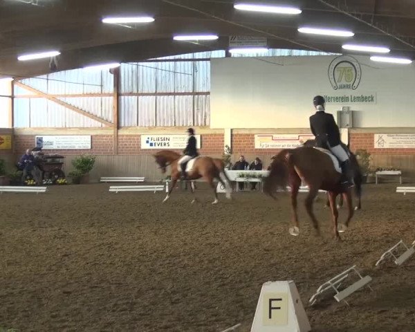 Reitturnier Lembeck 2016