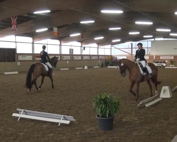 Reitturnier Lembeck 2016