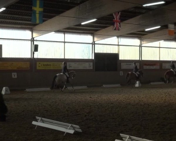 Reitturnier Lembeck 2016