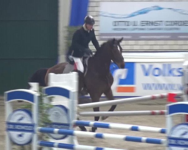 Spring-Pferde-Festival Lathen 2016