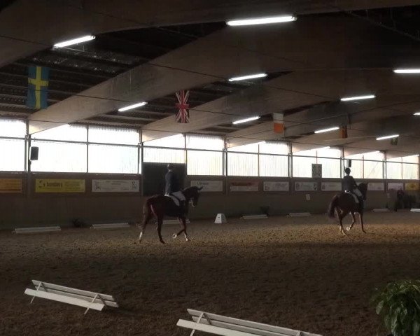 Reitturnier Lembeck 2016