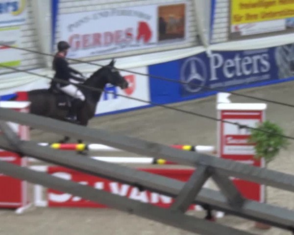 Spring-Pferde-Festival Lathen 2016