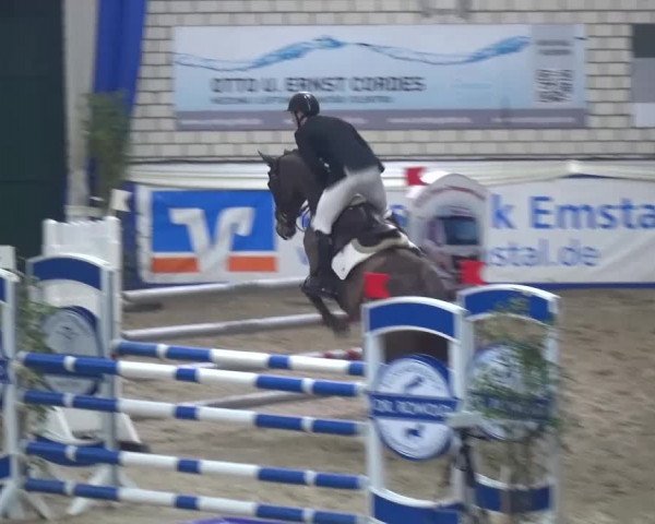 Spring-Pferde-Festival Lathen 2016
