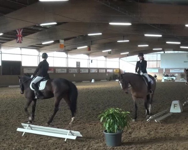 Reitturnier Lembeck 2016