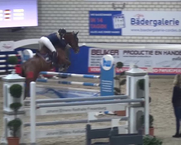 Spring-Pferde-Festival Lathen 2016