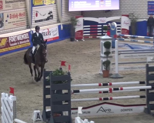 Spring-Pferde-Festival Lathen 2016