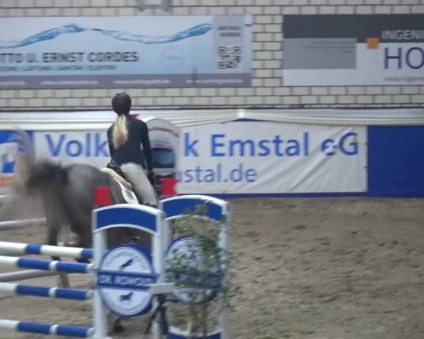 Spring-Pferde-Festival Lathen 2016