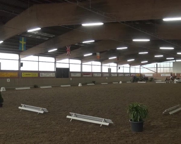 Reitturnier Lembeck 2016