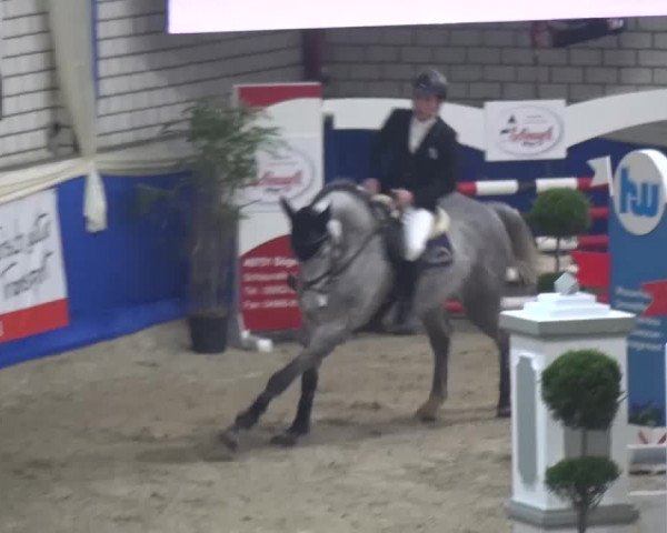 Spring-Pferde-Festival Lathen 2016