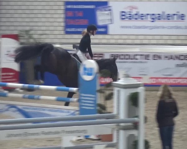 Spring-Pferde-Festival Lathen 2016
