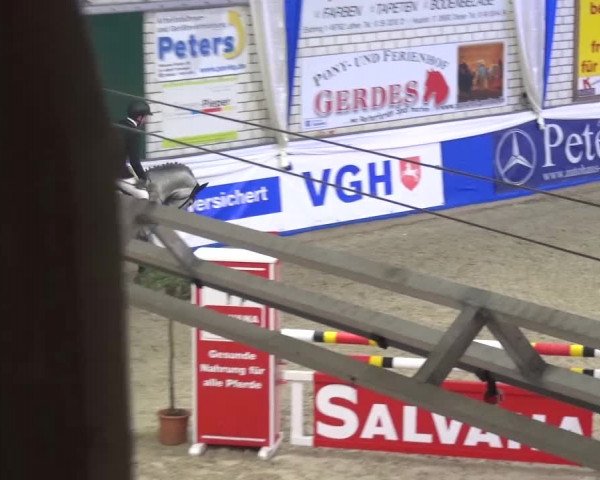 Spring-Pferde-Festival Lathen 2016
