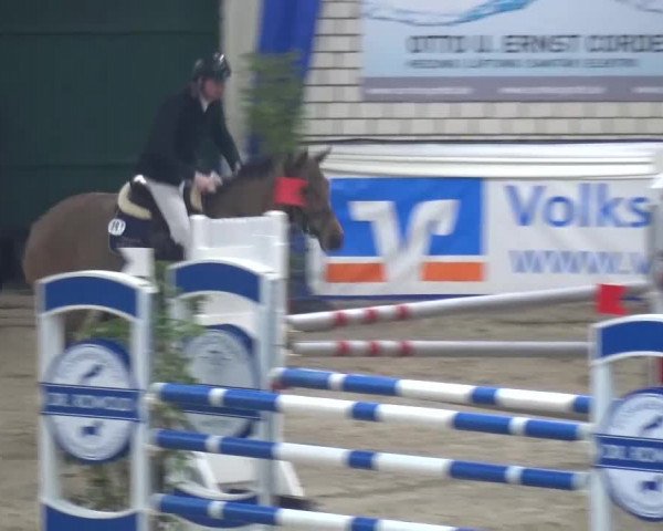 Spring-Pferde-Festival Lathen 2016