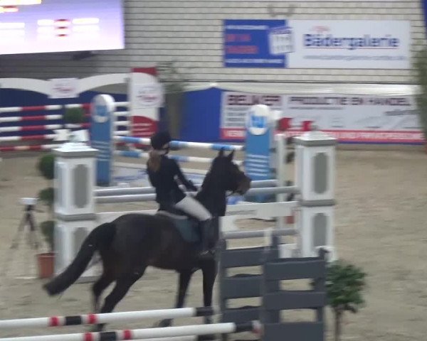 Spring-Pferde-Festival Lathen 2016