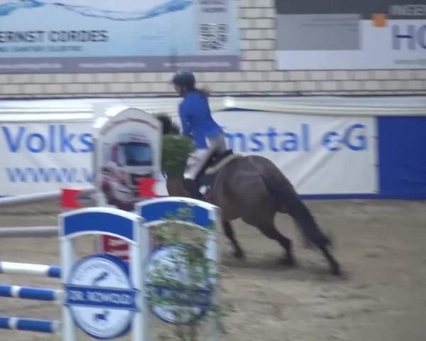 Spring-Pferde-Festival Lathen 2016