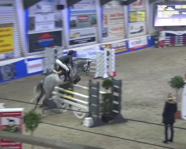Spring-Pferde-Festival Lathen 2016