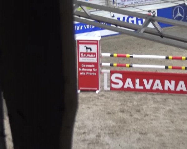 Spring-Pferde-Festival Lathen 2016