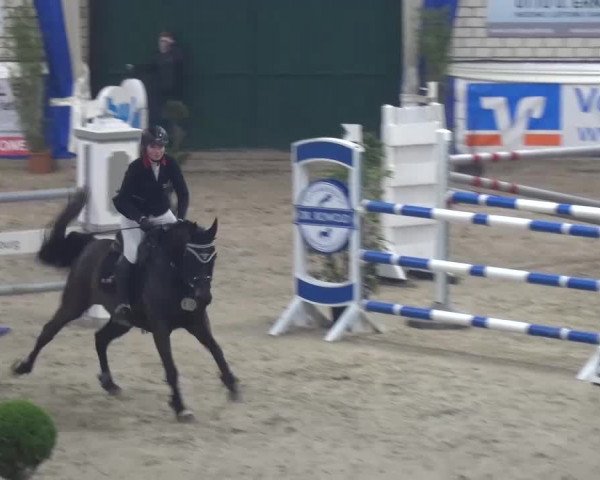 Spring-Pferde-Festival Lathen 2016