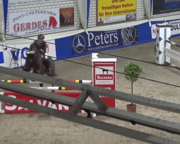 Spring-Pferde-Festival Lathen 2016