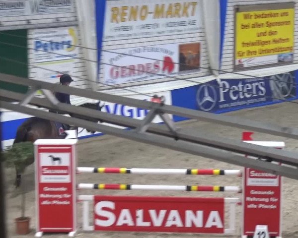Spring-Pferde-Festival Lathen 2016