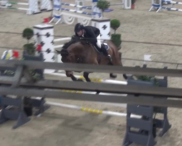 Spring-Pferde-Festival Lathen 2016
