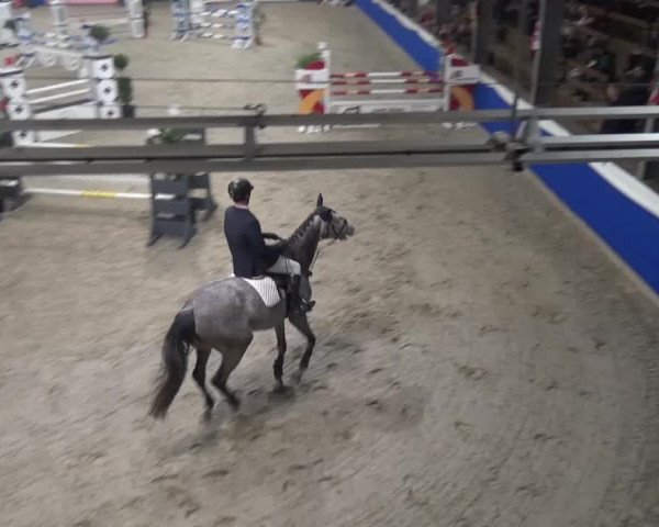 Spring-Pferde-Festival Lathen 2016