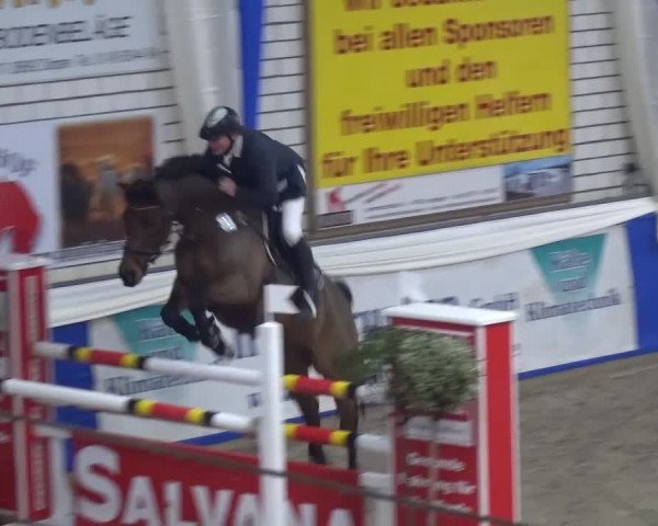 Spring-Pferde-Festival Lathen 2016
