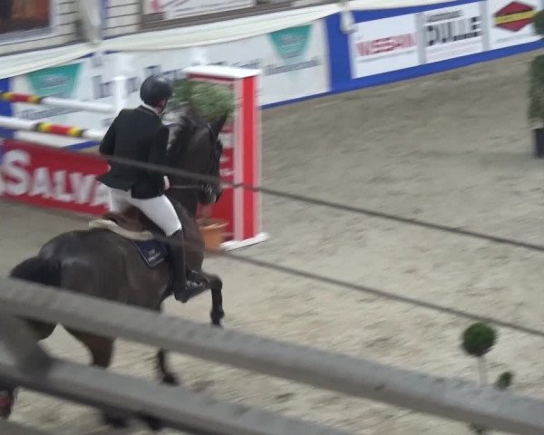 Spring-Pferde-Festival Lathen 2016