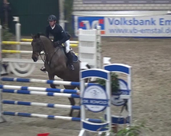 Spring-Pferde-Festival Lathen 2016