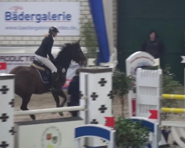 Spring-Pferde-Festival Lathen 2016
