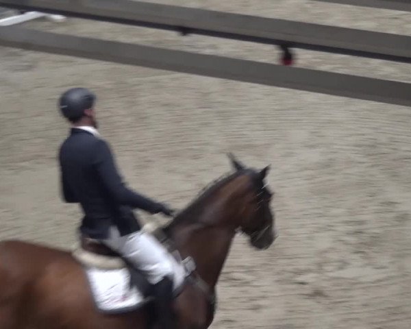 Spring-Pferde-Festival Lathen 2016
