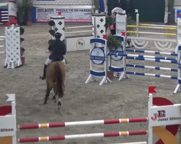 Spring-Pferde-Festival Lathen 2016