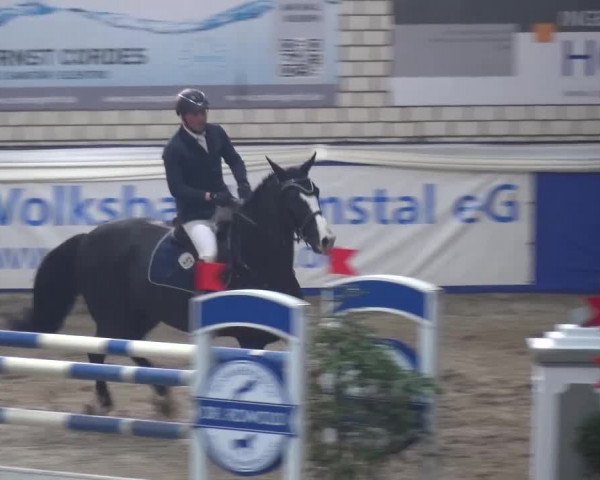 Spring-Pferde-Festival Lathen 2016