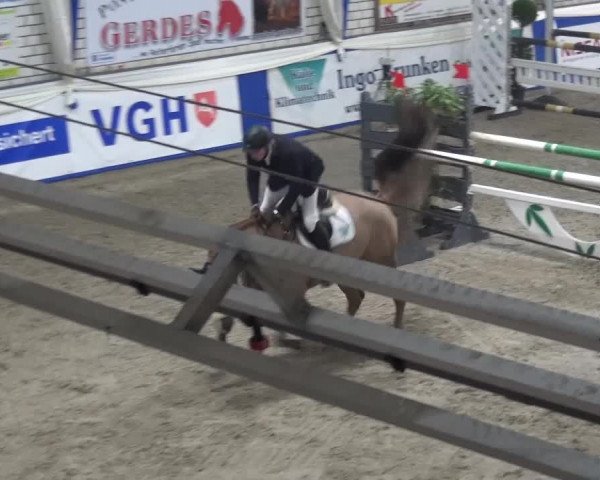 Spring-Pferde-Festival Lathen 2016