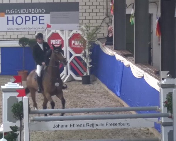 Spring-Pferde-Festival Lathen 2016